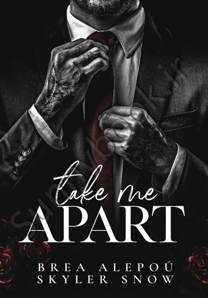Take Me Apart (Vitale Brothers Book 1) Model.Title