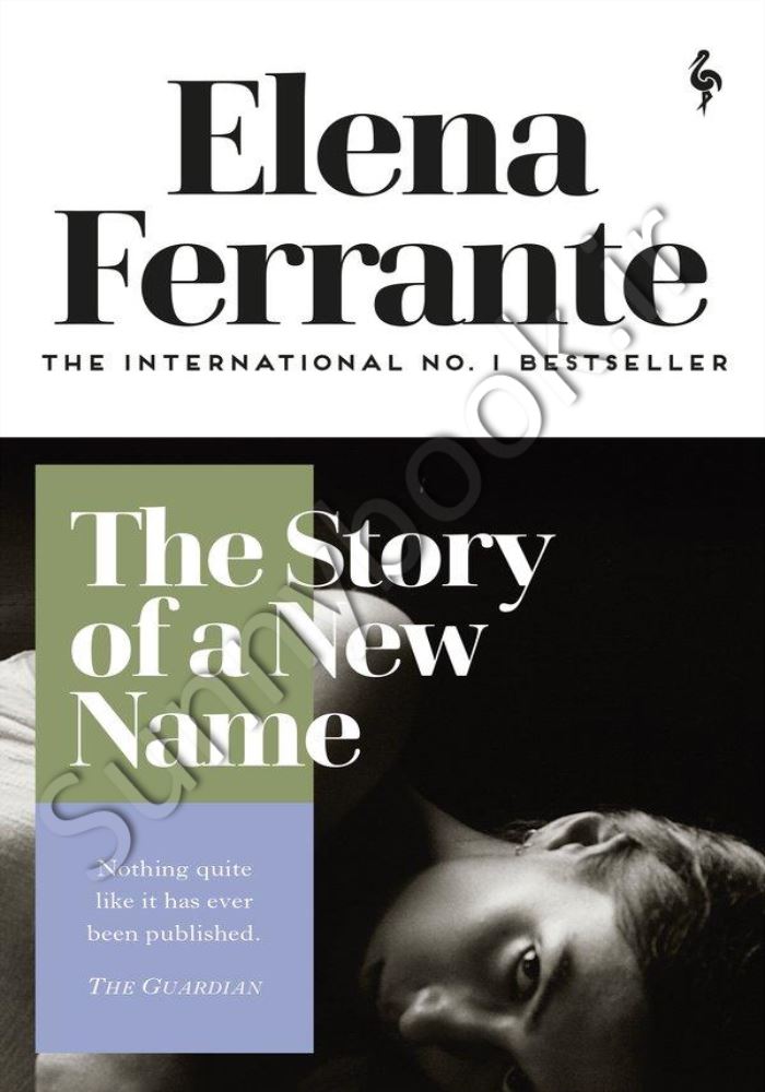The Story of a New Name (Neapolitan Novels, 2) main 1 1