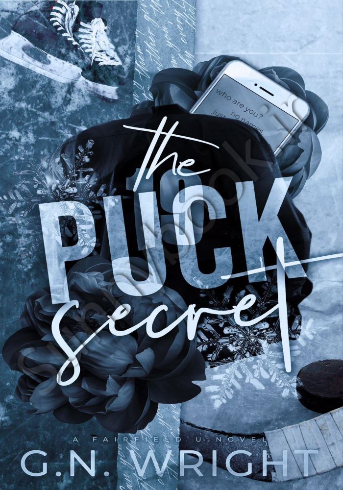 The Puck Secret (Fairfield U Book 1) main 1 1