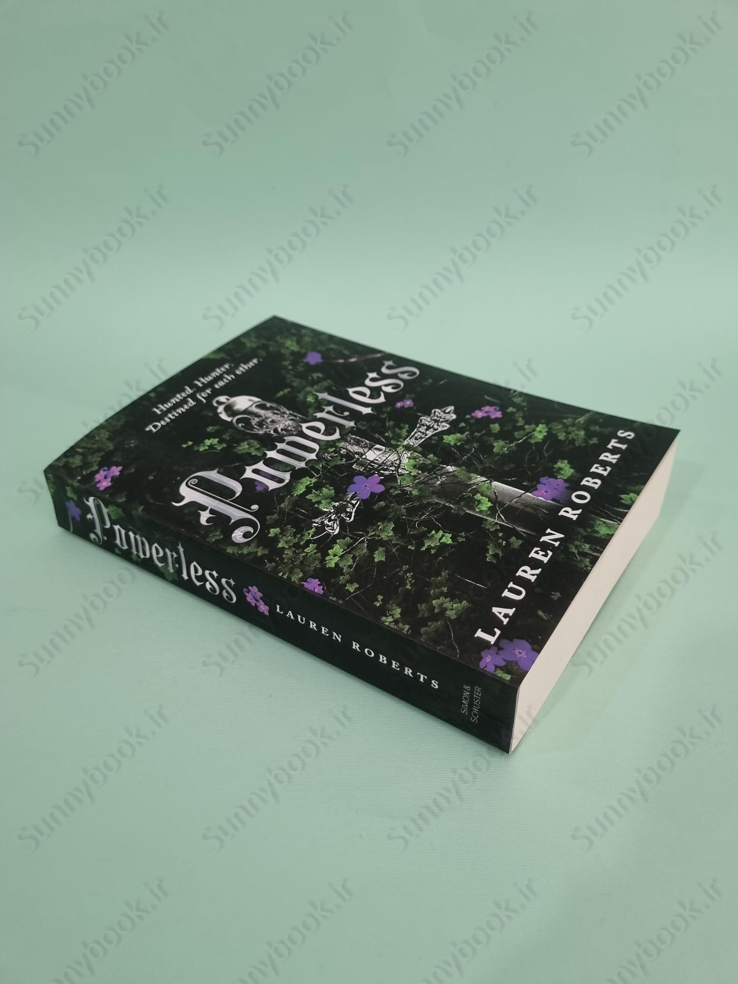 Powerless (The Powerless Trilogy Book 1) main 1 3