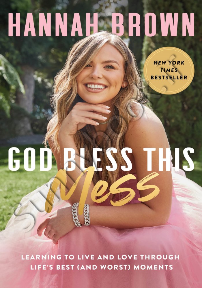God Bless This Mess: Learning to Live and Love Through Life's Best (and Worst) Moments Model.Title