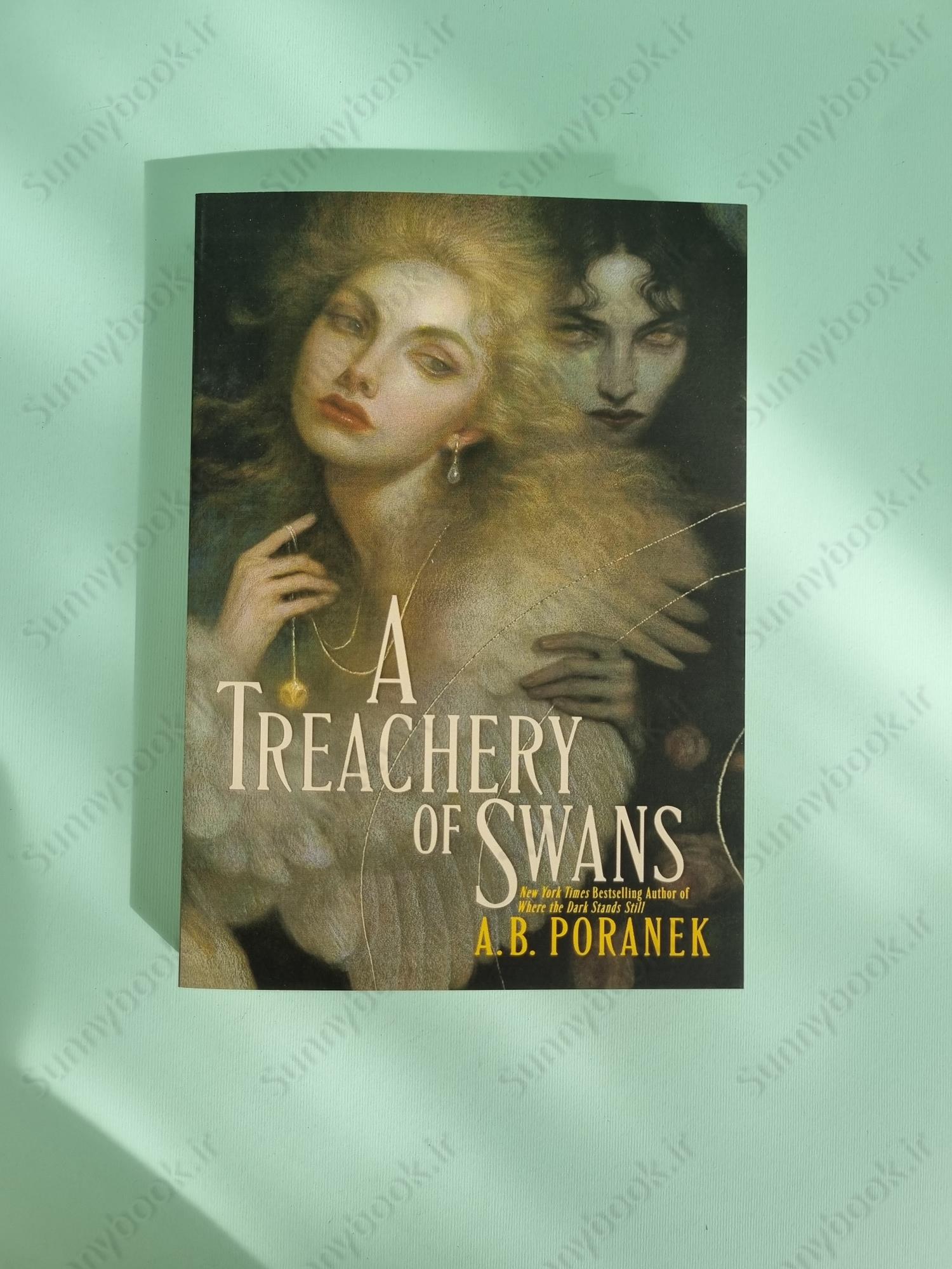 A Treachery of Swans main 1 2