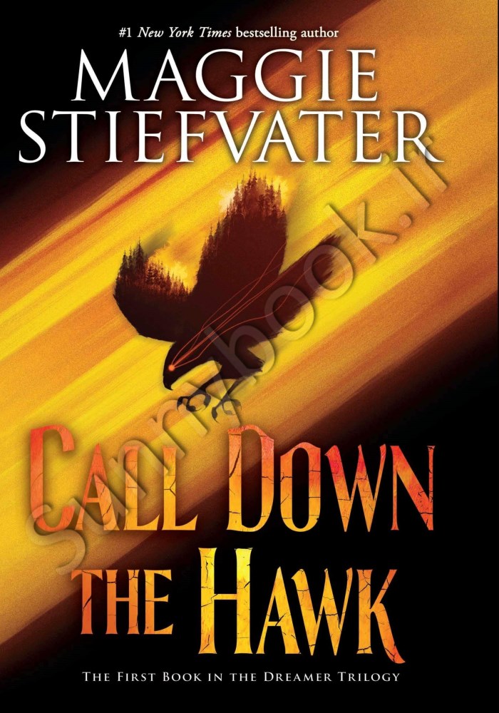 Call Down the Hawk (Dreamer 1) Model.Title