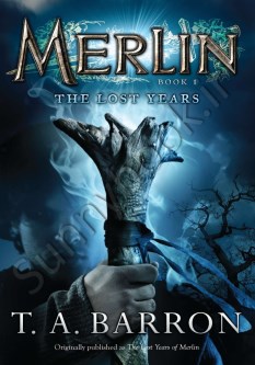 The Lost Years (Merlin Book 1)