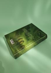 Harry Potter and the Half-Blood Prince (Harry Potter 6) thumb 2 5