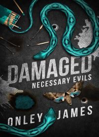 Damaged (Necessary Evils 3.5)