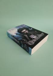 Quicksilver (Fae and Alchemy 1) thumb 1 3