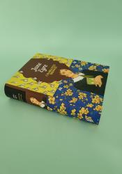 Jane Eyre (The Sisterhood) thumb 2 3